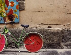 Fra ujævne veje til silkeblød kørsel: OnGear's cykelophæng i fokus