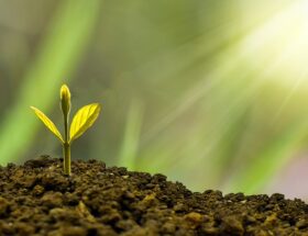 Boost din firmaside: 10 tips til succes på linkedin