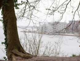 Gå på opdagelse: 7 skjulte perler i aarhus du endnu ikke kender