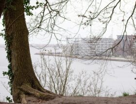 Gå på opdagelse: 7 skjulte perler i aarhus du endnu ikke kender