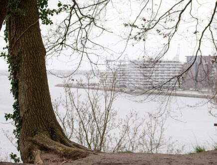 Gå på opdagelse: 7 skjulte perler i aarhus du endnu ikke kender