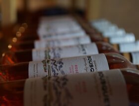 Vinproducenternes hemmelige opskrifter: Hvordan skabes årets bedste rosévin?