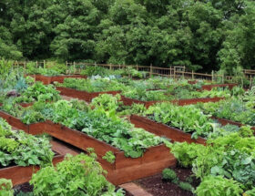 Højbede og bæredygtighed: Sådan kan du dyrke grønt på en miljøvenlig måde