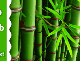 Hvorfor bambus tyngdedyner er det bedste valg for søvn og afslapning