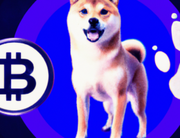 Shiba Inu, Det Nyeste Hit på Ethereum Kursen